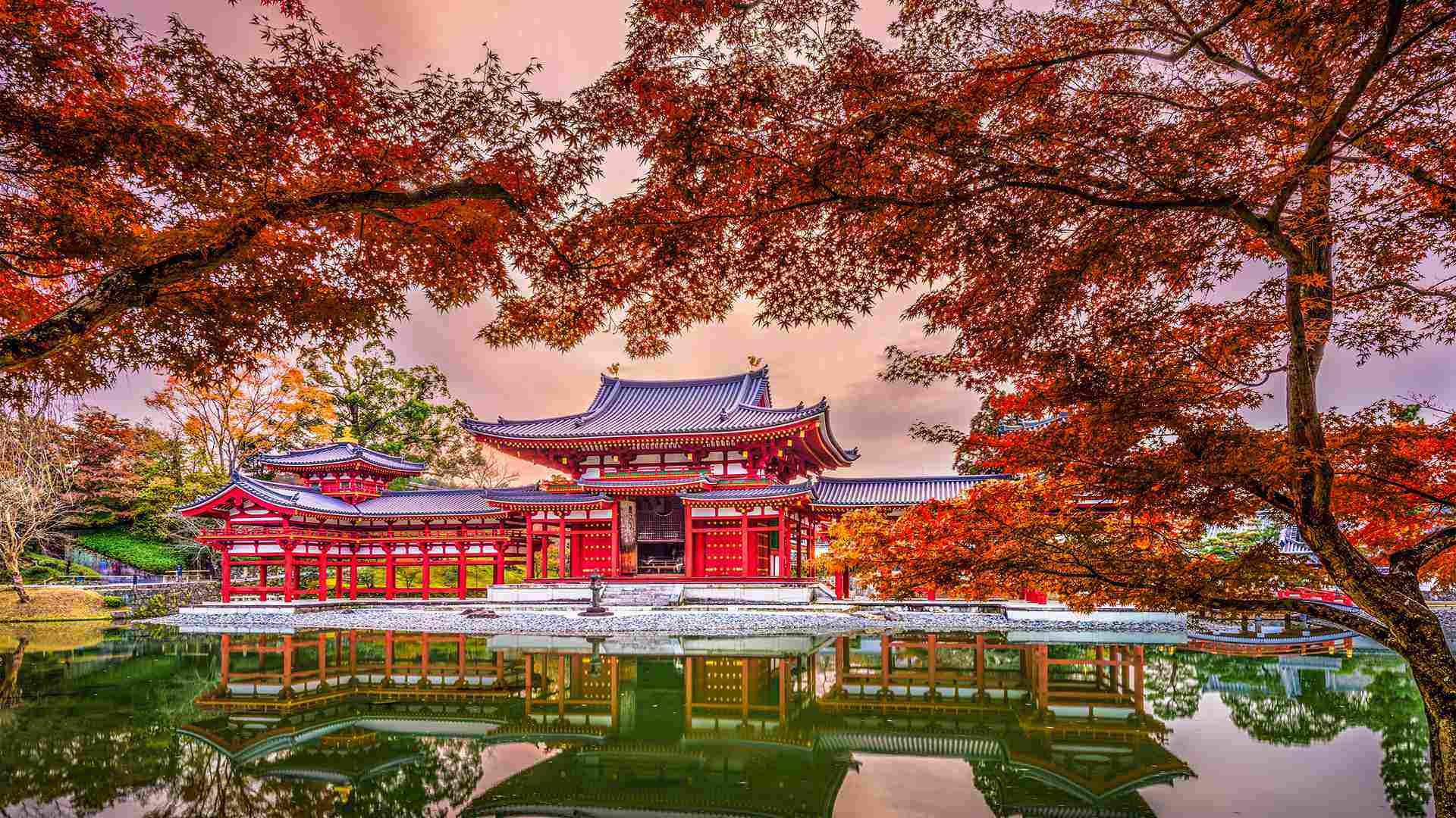 Business class flights to Japan from the USA — Tokyo