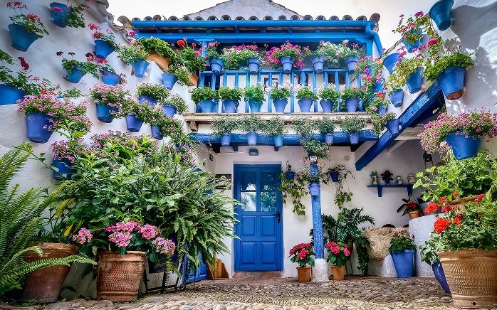 A Córdoba patio in full bloom during the Festival de los Patios in May